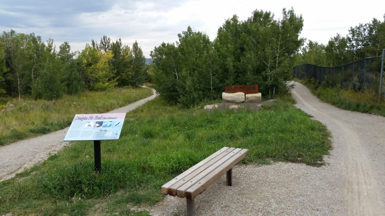 Douglas Fir Trail East Entrance